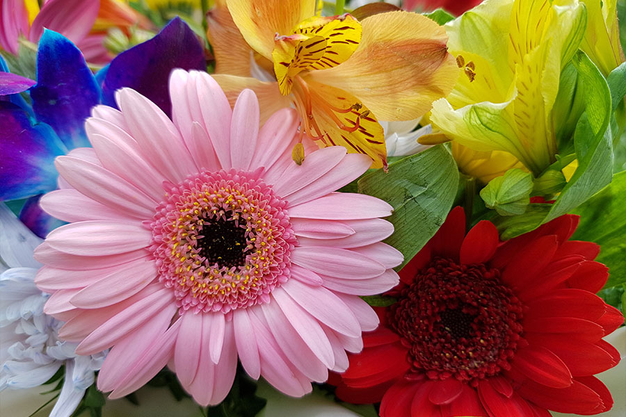 Get Well Florist in Brandon, MS | Cobee’s Floral - Rankin County, Flowood